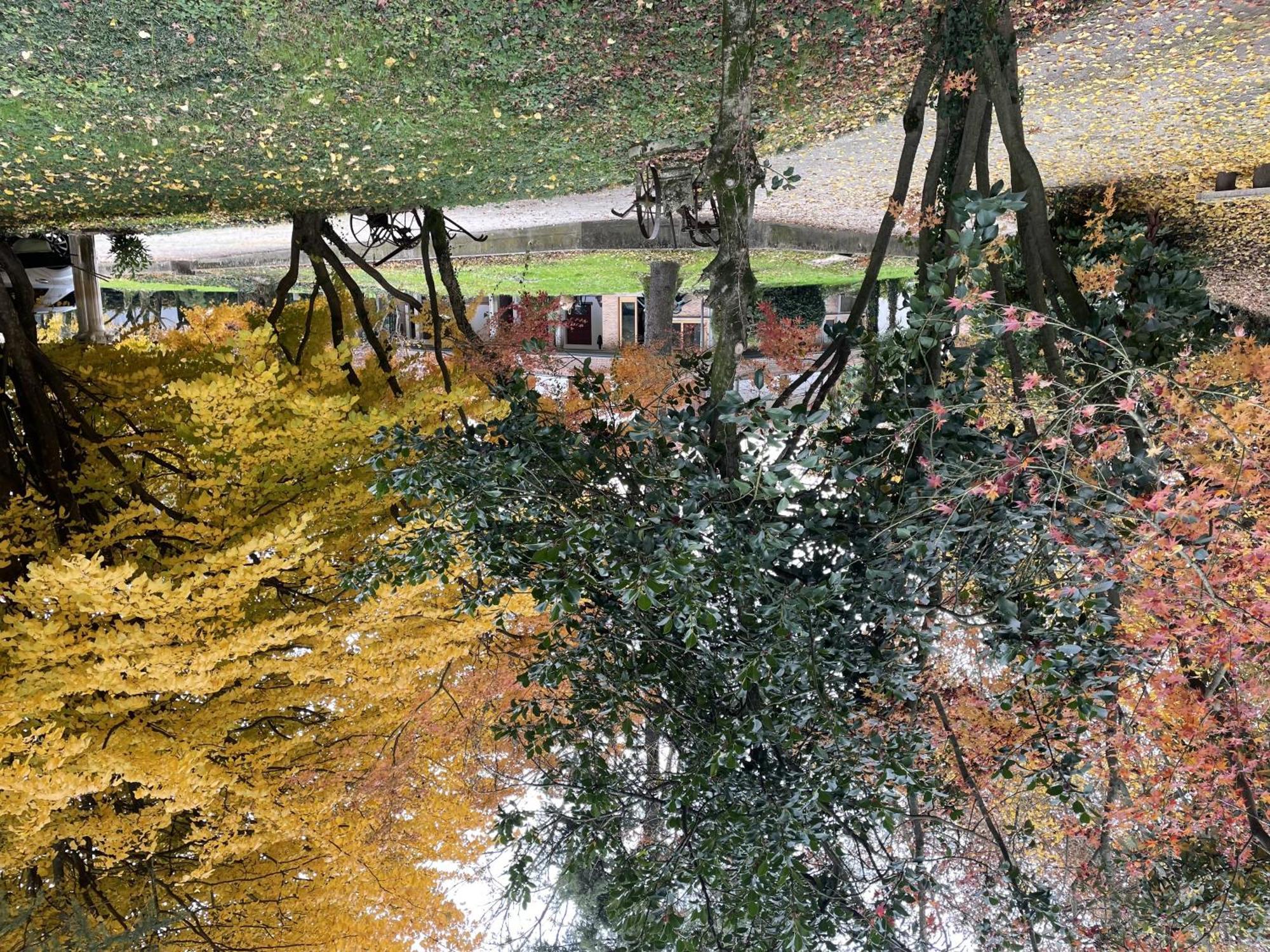 Padova Villetta Con Ampio Parco Privato Campodarsego Bagian luar foto